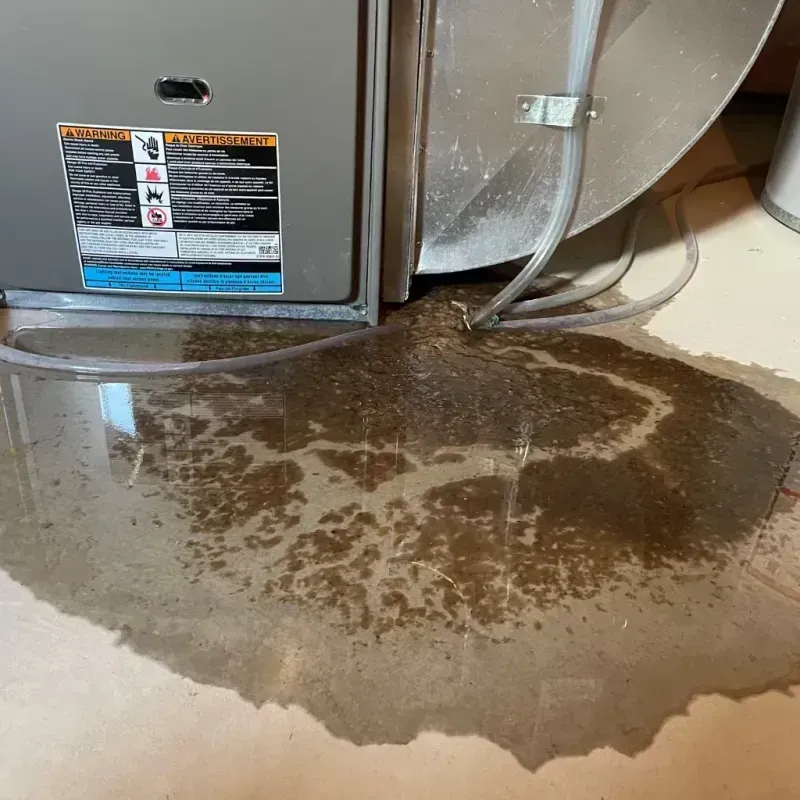 Appliance Leak Cleanup in Saint Michaels, MD